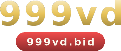 999vd logo